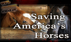 Saving America's Horses BNR